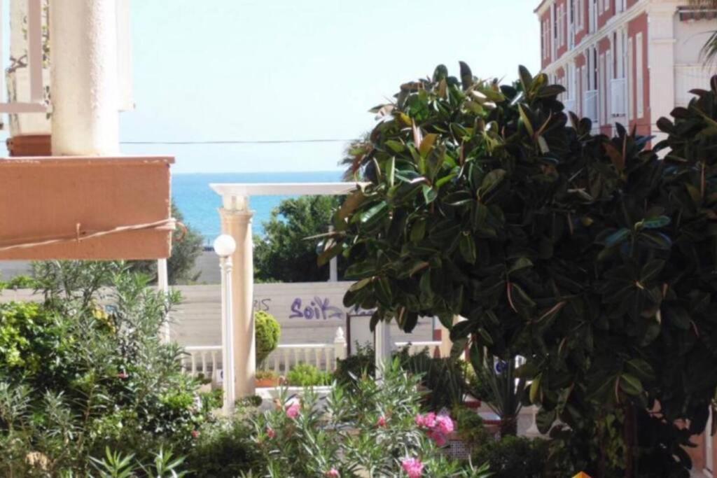 לה מאטה Beach Dream Apartment מראה חיצוני תמונה